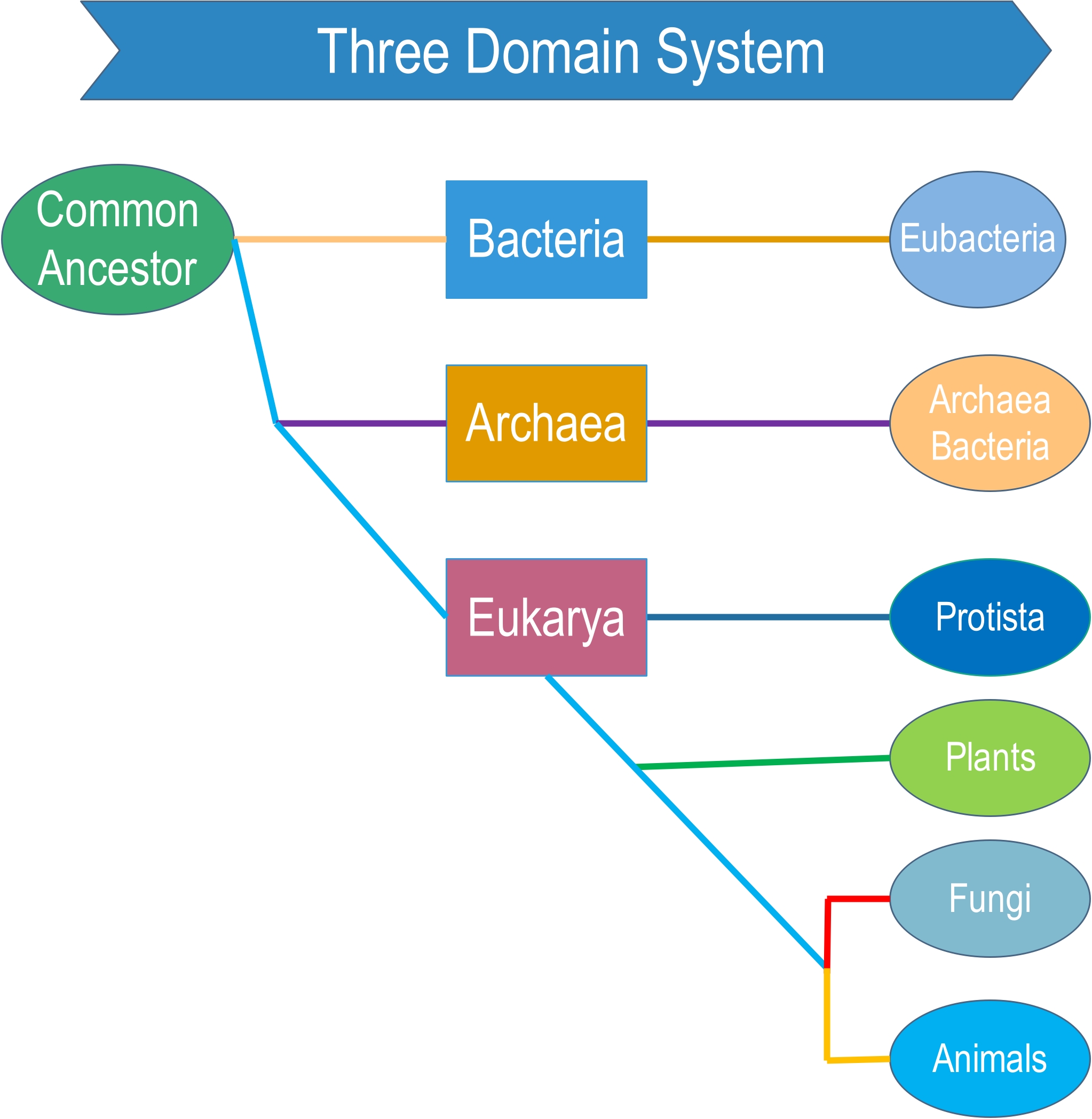 Three domain system