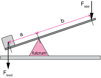 Class 1 lever