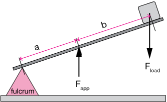 Class 3 lever